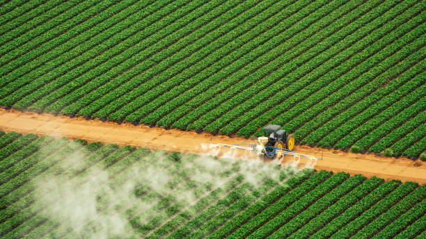 Best Termite Control Services  in Milledgeville, GA