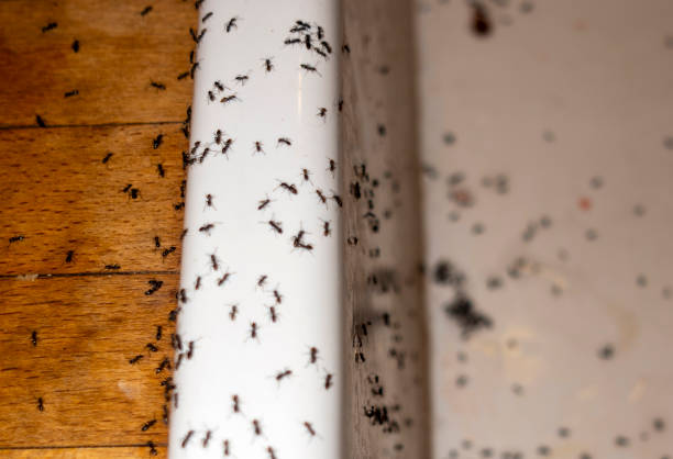 Best Pest Removal Services  in Milledgeville, GA