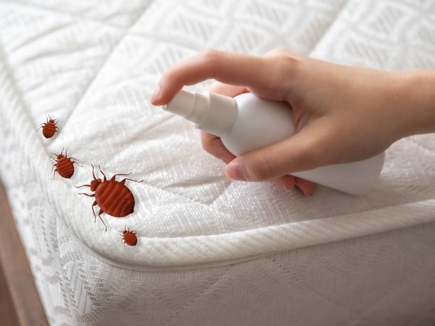 Pest Prevention Services in Milledgeville, GA